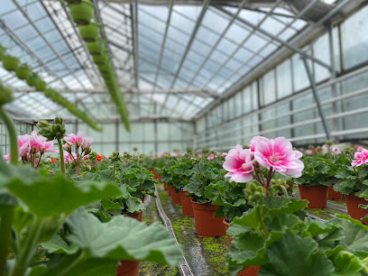 Gartenbau- Und Handelsunternehmen Mühe GmbH