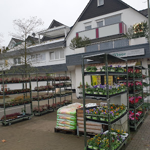 Blumenfachgeschäft Josef Wigge