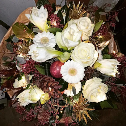 Blumen Debus