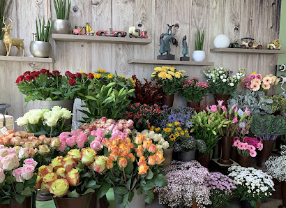 Blumen Debus