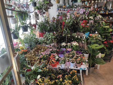 Blumenlädchen und Dekoration