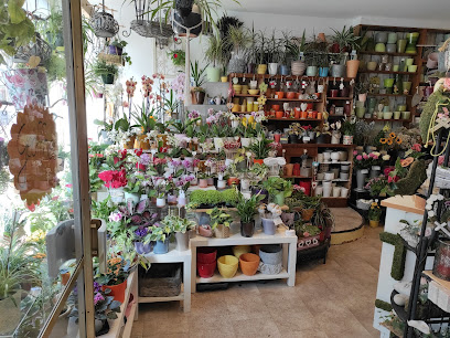 Blumenlädchen und Dekoration