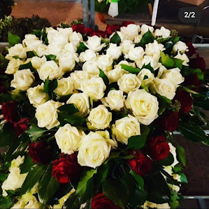 Blumen Beinert