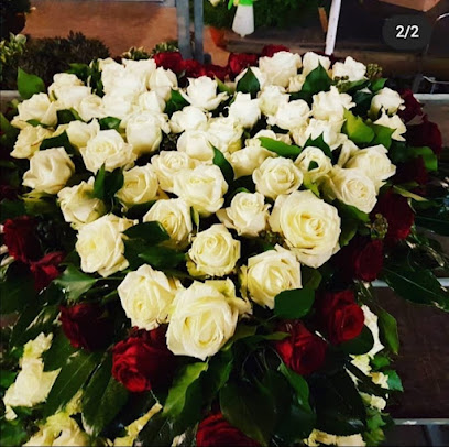 Blumen Beinert