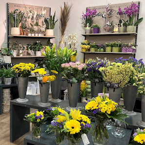 Blumen Edelweiß Bad Salzungen Goethegalerie