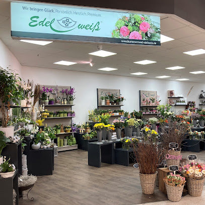 Blumen Edelweiß Bad Salzungen Goethegalerie