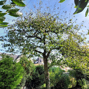 Haus & Gartenservice Stoffels
