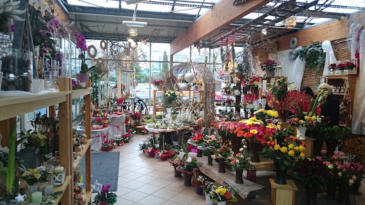Blumen Nötzold