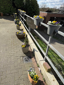 Blumenhaus Katja