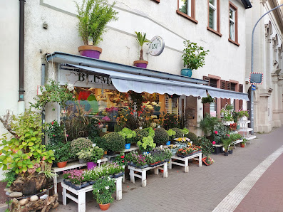 Blumen und Pflanzen P&T
