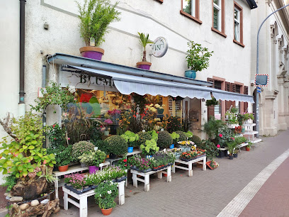 Blumen und Pflanzen P&T