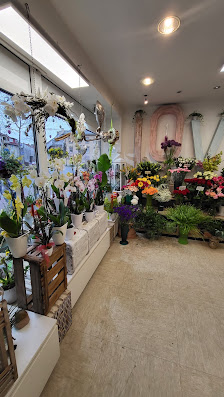 Blumen und Pflanzen P&T