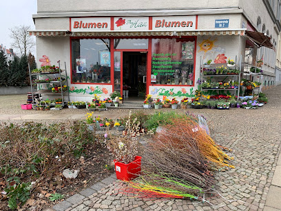 Blumen Thu Hiêń