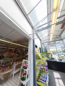 Kornblume - Landhandel und Floristik Aymans GmbH