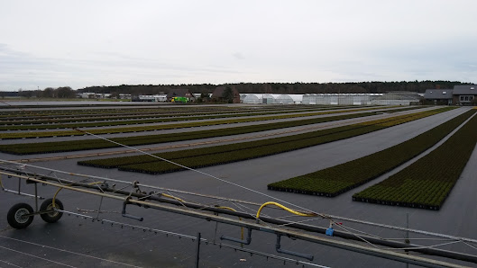Gartenbau Lenz