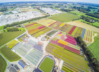 Boland Gartenbau