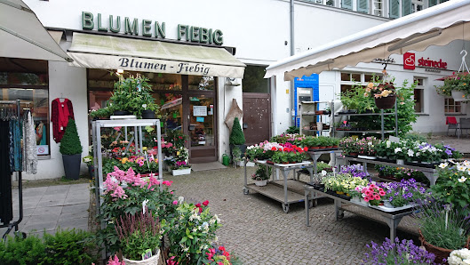 Blumen-Fiebig