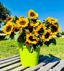 Feldblumen Kervenheim