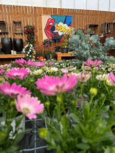 Gartencenter Welzel