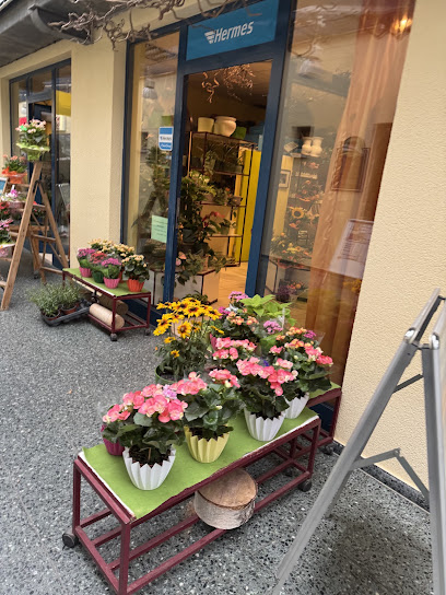 Blumenfachgeschäft Katrin Waniek - HERMES Paket Shop