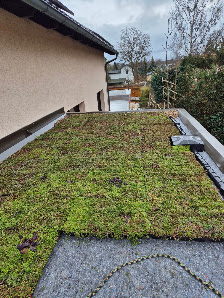 Plantile Dachbegrünung