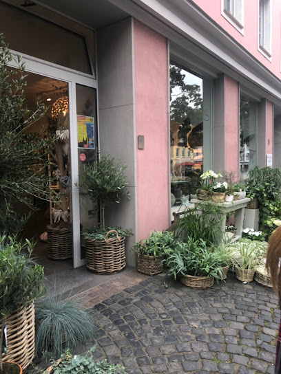 Froschkönig Xanten