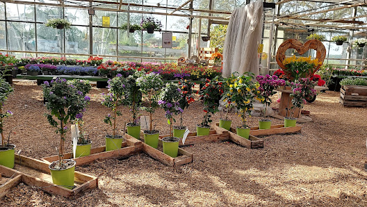 Trinkstop bei Blumen Dicks