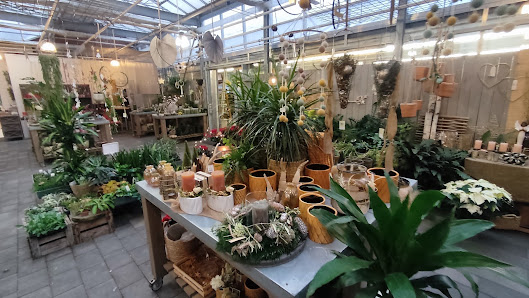 Blumen Stricker