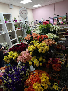 Blumen Galerie Kamp-Lintfort