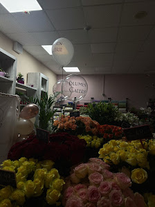Blumen Galerie Kamp-Lintfort