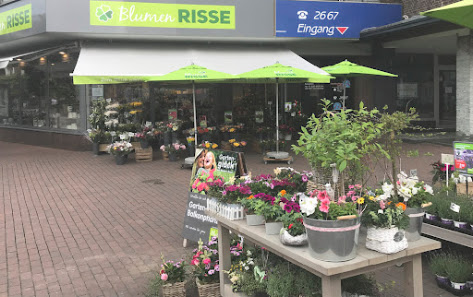 Blumen Risse Blumenladen Kamp-Lintfort