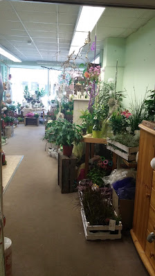 Blumenland 2000
