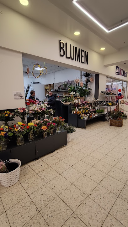 Blumen Edelweiß Leipzig HIT