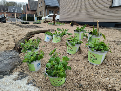 Gartenbau Born