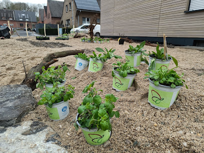 Gartenbau Born