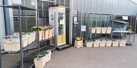 Blumen to Go