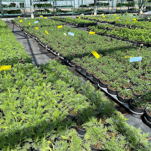 florapartner.de Kräuter & Gemüsepflanzen