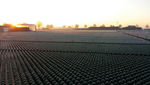Gartenbau Heufs KG