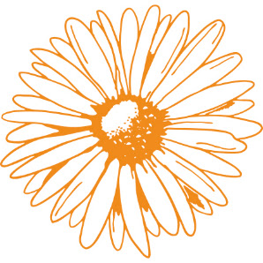 Blumengroßhandel Fegers GmbH