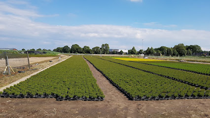 Gartenbaubetrieb und Friedhofsgärtnerei Manfred Gatzweiler