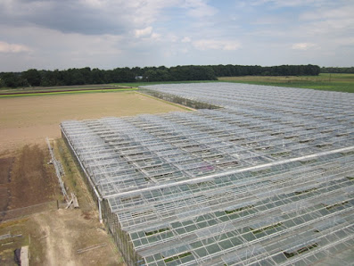 Gartenbau Alfons Engh-Bongers