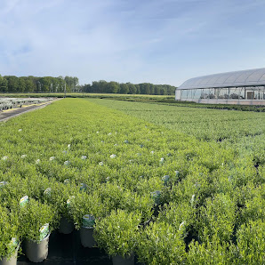 Gartenbau Johannes Willems