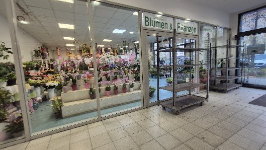 philipp Blumen & Pflanzen