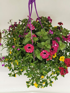 Gartenbau Stefan Loy GbR