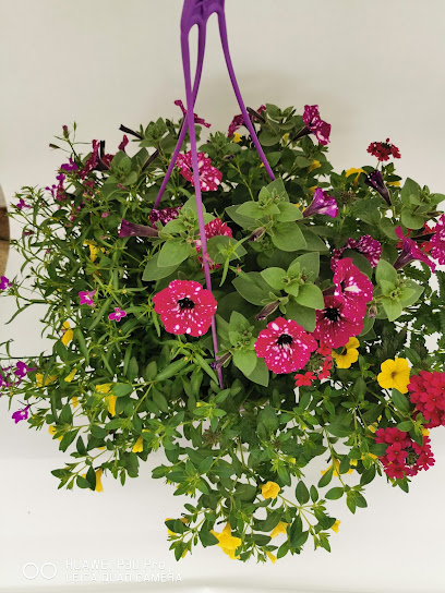 Gartenbauer in Straelen