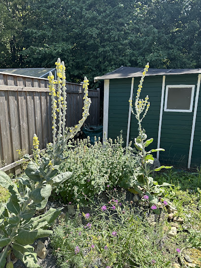 Garden for Future