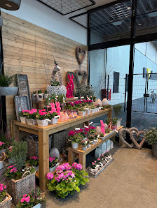 Blumen Luft