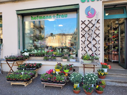 hofmann + frau | blumen für alles