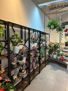 Blumen Wunder