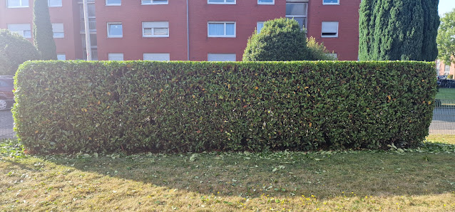WL-Gartenpflege GbR
